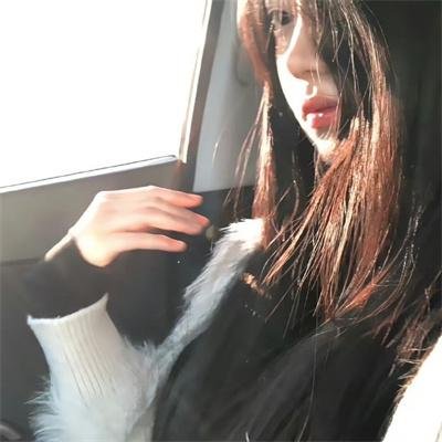 义犬奇行录